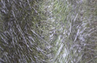 Deepthwaite fibreglass roof work