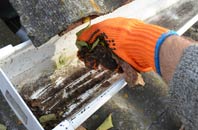 rated Deepthwaite gutter cleaning companies